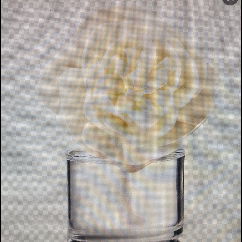 Scentsy Fragrance Flower brand new vanilla bean